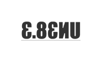 UN383.3